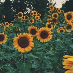 Meet your Posher, Maegan